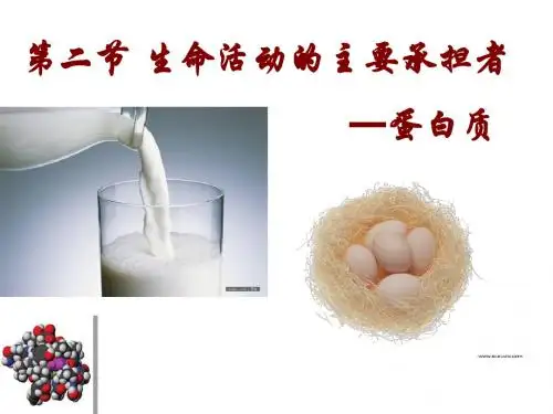 人教版教学课件生物：2.2《生命活动的主要承担者——蛋白质》(理科)