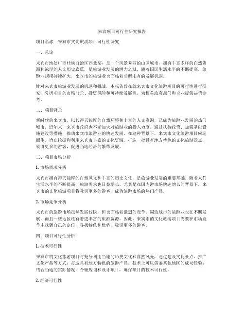 来宾项目可行性研究报告