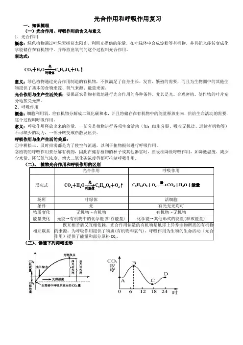 光合作用和呼吸作用复习