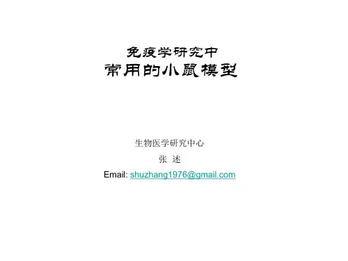 实验室常用小鼠简介 (同济)