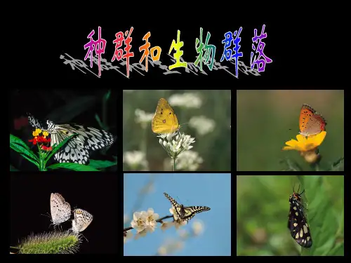 生物与环境的相互作用-1