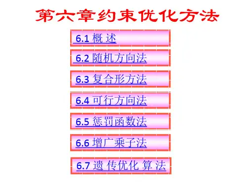 第六章 约束优化方法