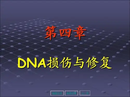 第04章 DNA损伤