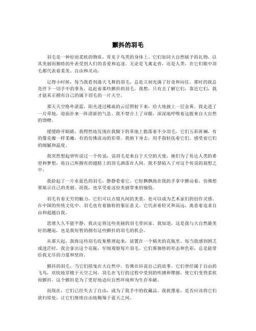 颤抖的羽毛
