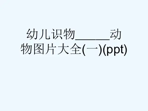 幼儿识物_____动物图片大全(一)(ppt)