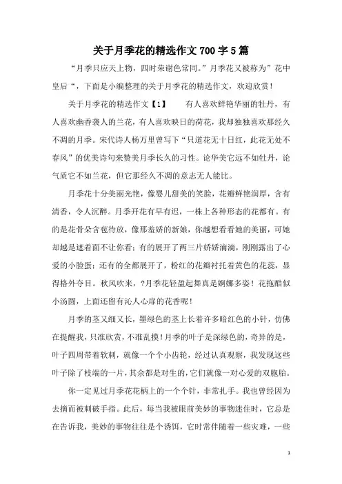 关于月季花的精选作文700字5篇