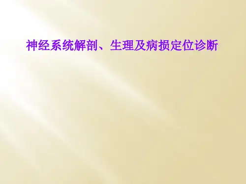 神经系统解剖、生理及病损定位诊断