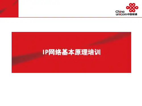 IP网络基本原理培训