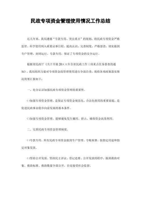 民政专项资金管理使用情况工作总结精选