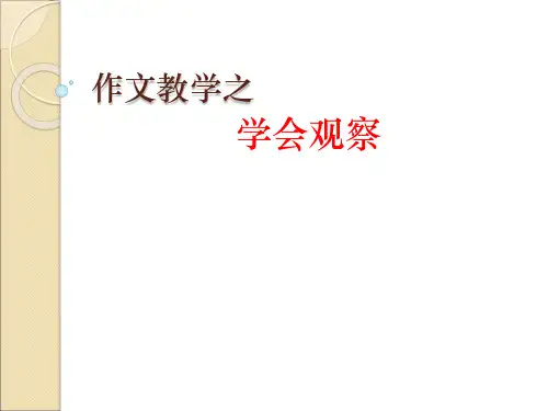 观察与描写作文课1总括