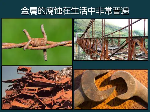 人教化学选修4第四章第四节 金属的电化学腐蚀与防护(共17张PPT)