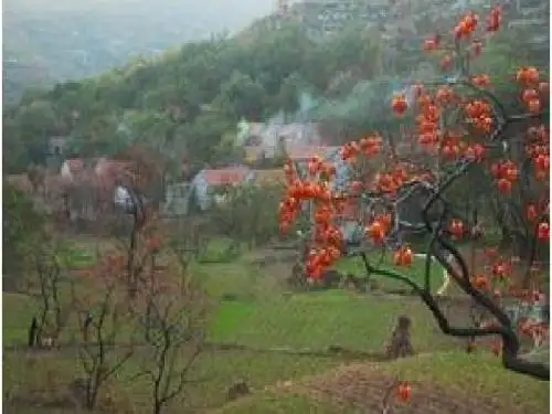 6.炊烟