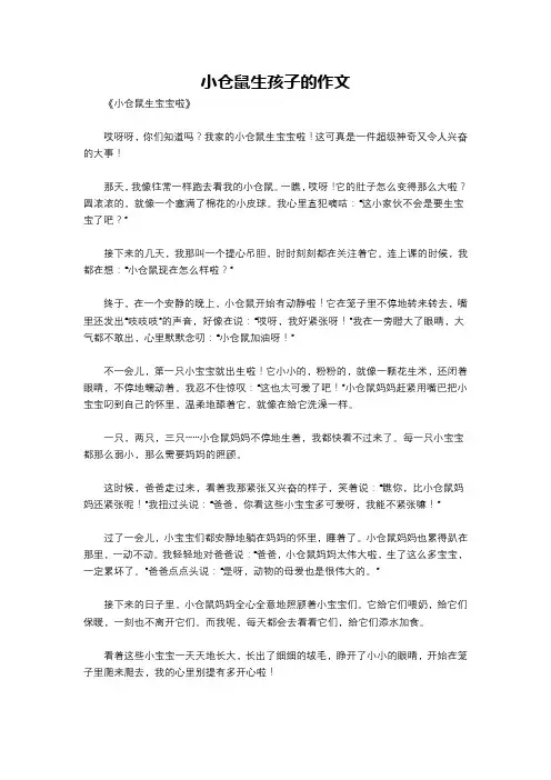 小仓鼠生孩子的作文