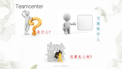 TEAMCENTER基础培训课件
