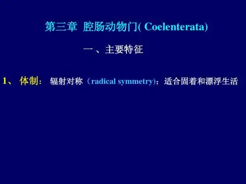 腔肠动物门
