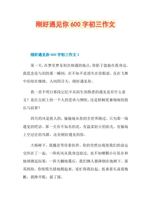 刚好遇见你600字初三作文