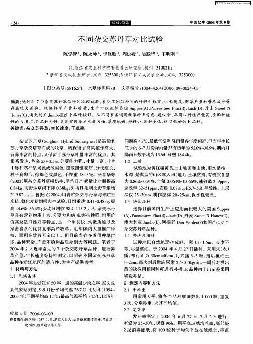 不同杂交苏丹草对比试验