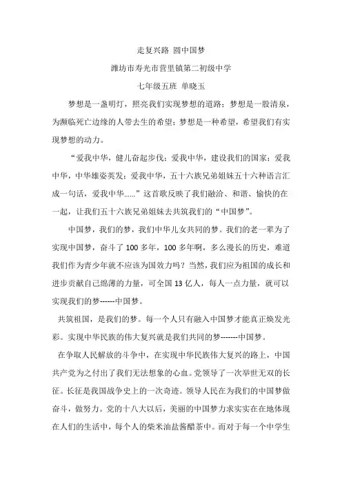 走复兴路_圆中国梦征文