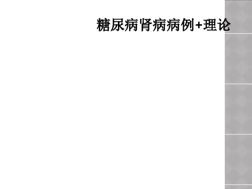 糖尿病肾病病例+理论