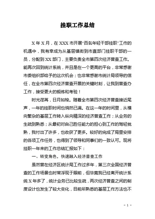 个人挂职工作总结