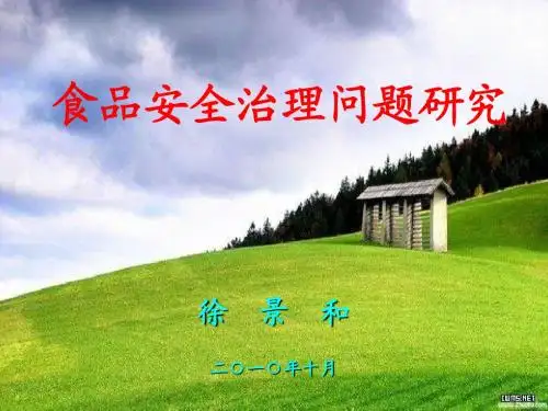 食品安全治理问题研究