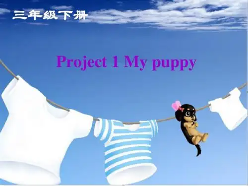 译林新版 三年级下册 Project 1课件