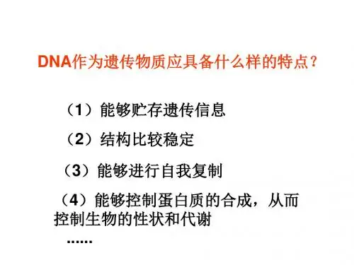 DNA分子结构