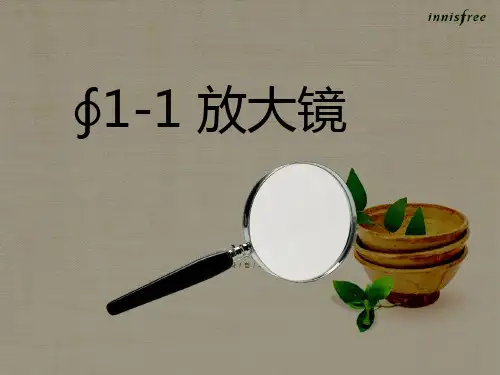 六年级科学下册第一课放大镜