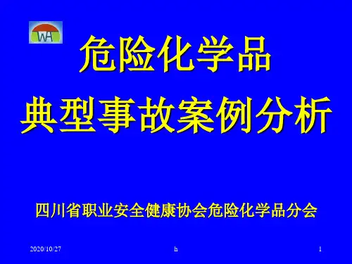 危险化学品典型事故案例分析-四川危险化学品协会