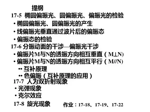 椭圆偏振光