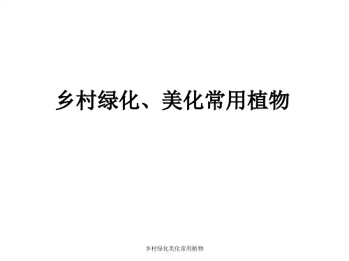 乡村绿化美化常用植物 ppt课件