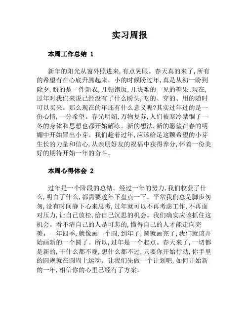 实习周报100篇