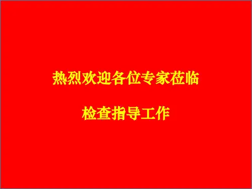 安全文明标准化工地汇报PPT最终版