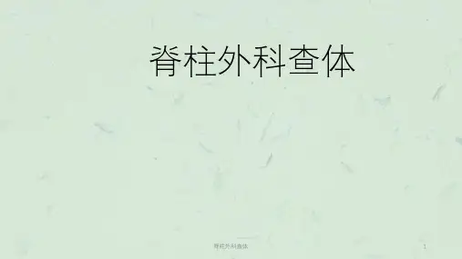 脊柱外科查体课件
