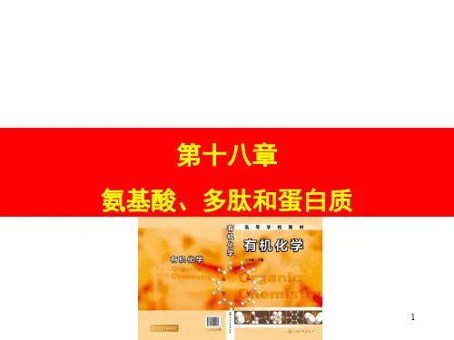 第十八章 氨基酸多肽和蛋白质