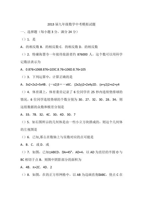 2013届九年级数学中考模拟试题