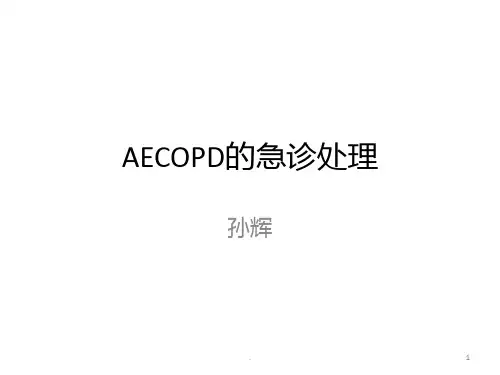 AECOPD的急诊处理ppt课件