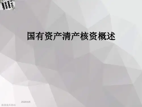 国有资产清产核资概述