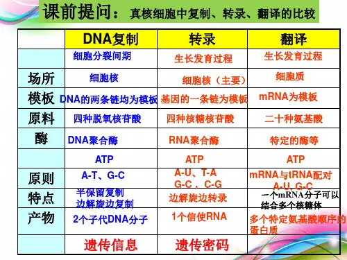 基因对性状的控制(公开课) 人教版高中生物必修二PPT优质课件(共31张)