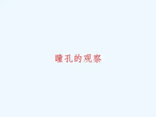 瞳孔的观察课件