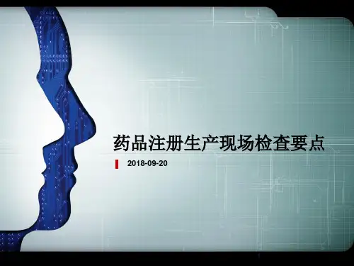 药品注册生产现场检查要点ppt课件
