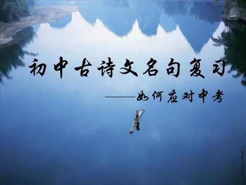整理古诗词复习课题汇报课