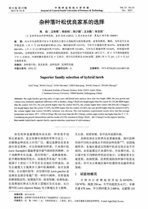 杂种落叶松优良家系的选择