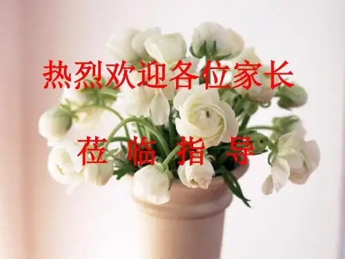 六年级家长会演讲稿19