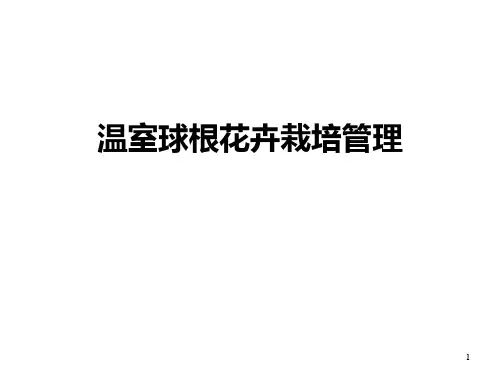 温室球根花卉栽培PPT课件