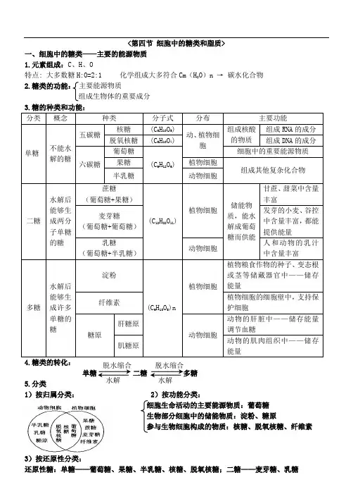 细胞中糖类和脂质知识点