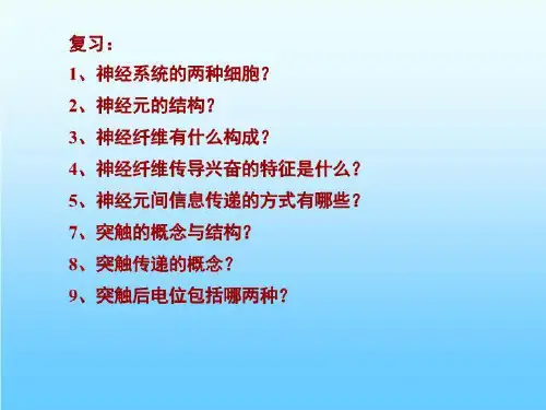 (10)神经系统-2