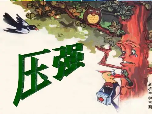 王颖九年级物理压强课件1(1)