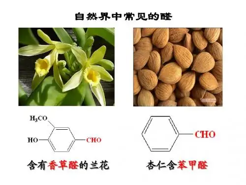 《第三单元  醛 羧酸》之《醛的性质与应用》