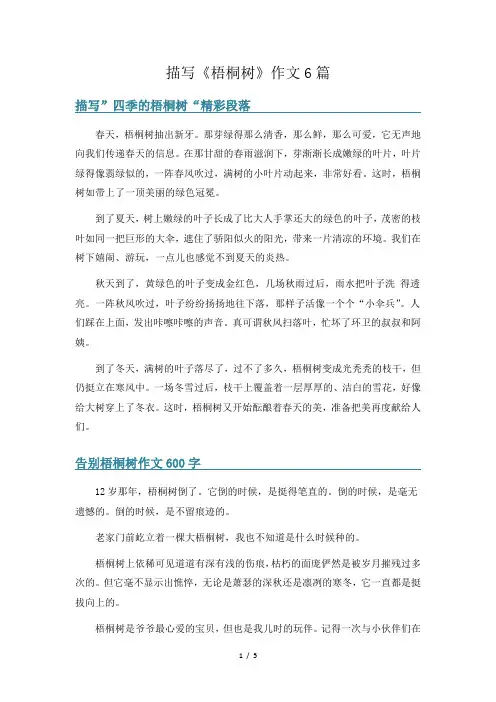 描写《梧桐树》作文6篇